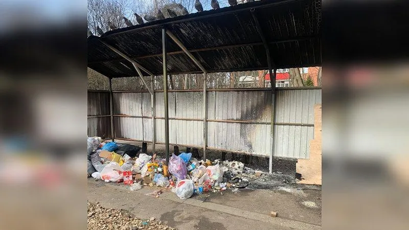 Хулиганы дотла сожгли мусорные баки в Пушкино