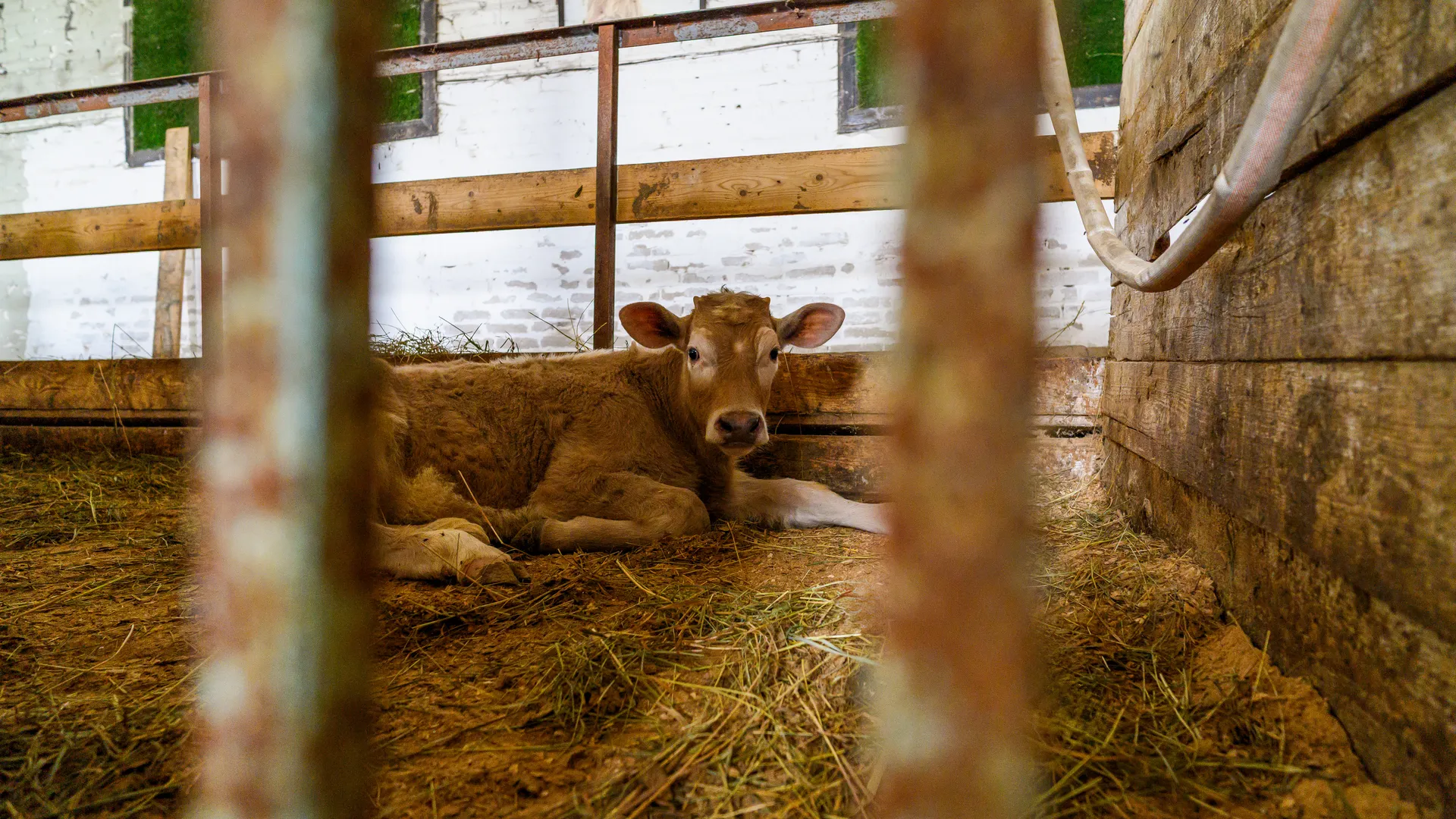 медиасток.рф