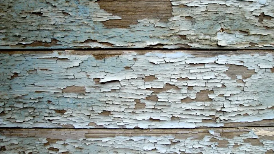 Фото: pxhere.com