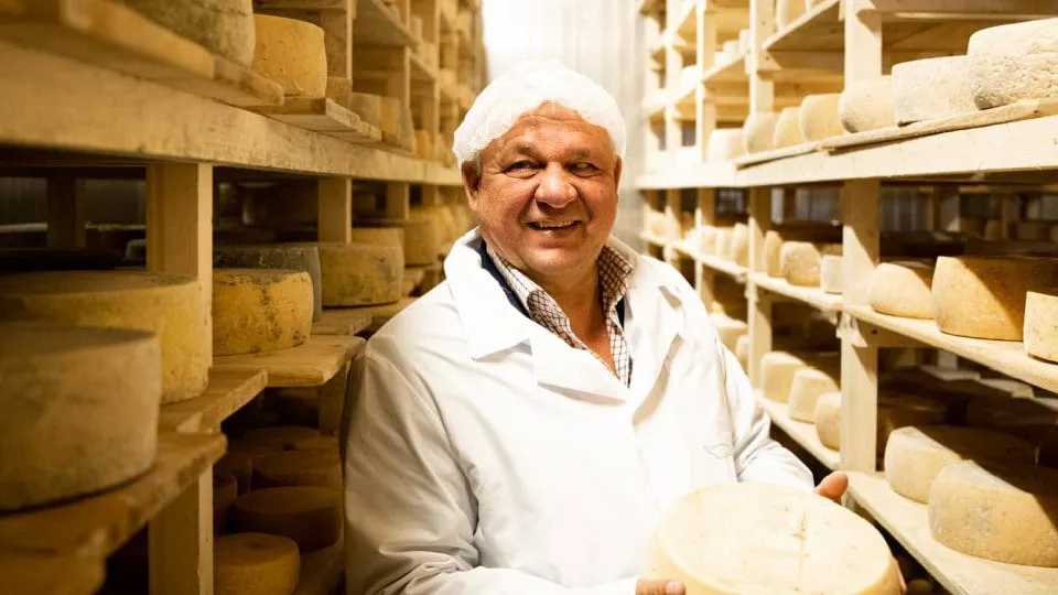 Фото: пресс-служба администрации Дмитровского м.о.