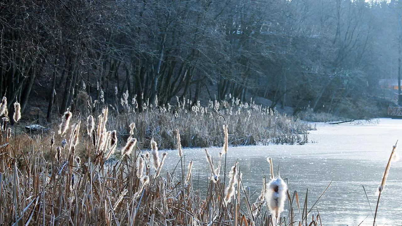 медиасток.рф