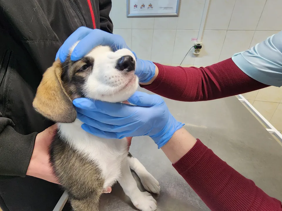 Фото: МедиаБанк Подмосковья/Валентина Максимова