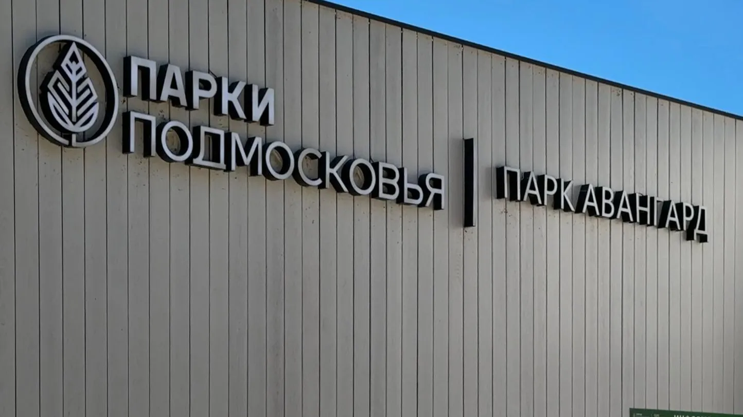 Фото: администрация городского округа Электросталь