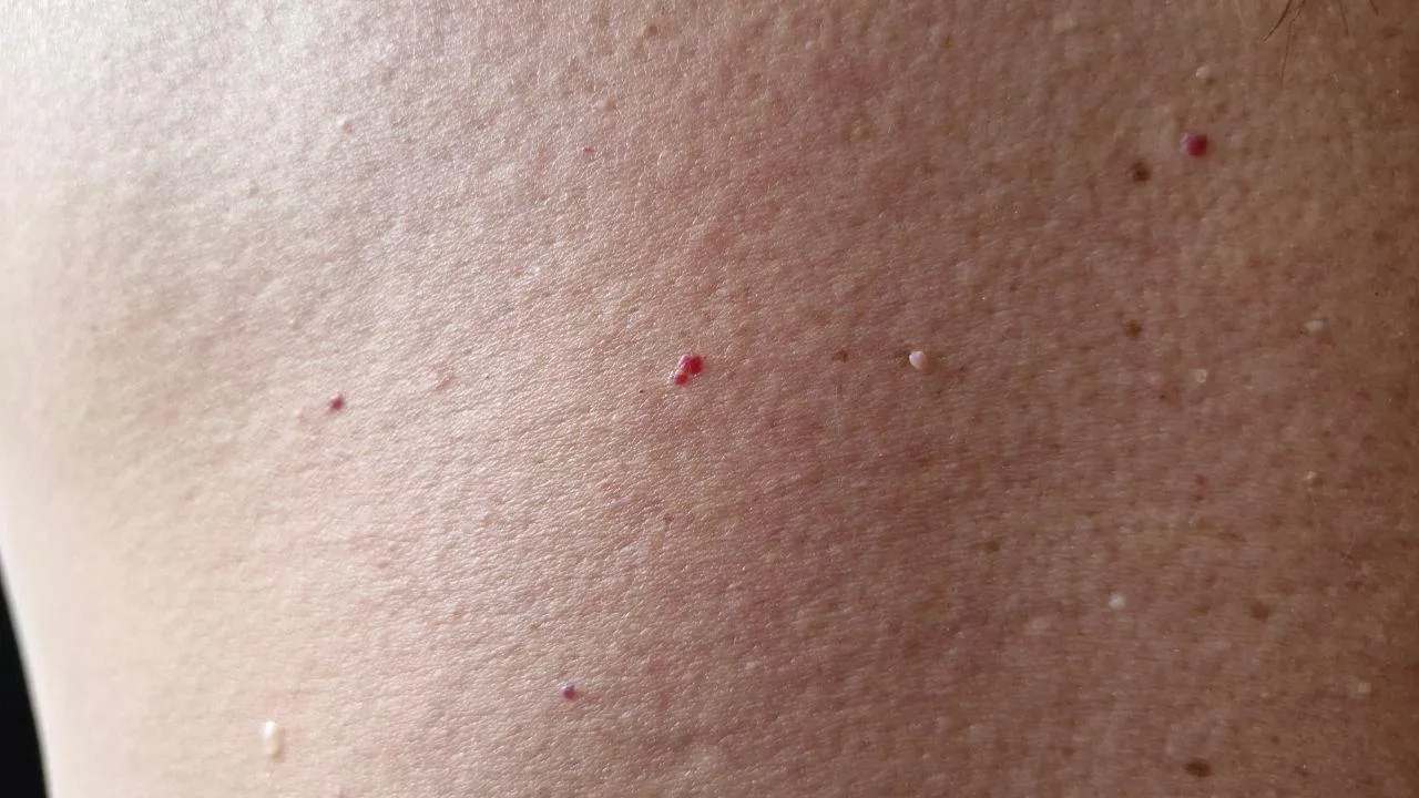 REGIONS/Наталья Надточая