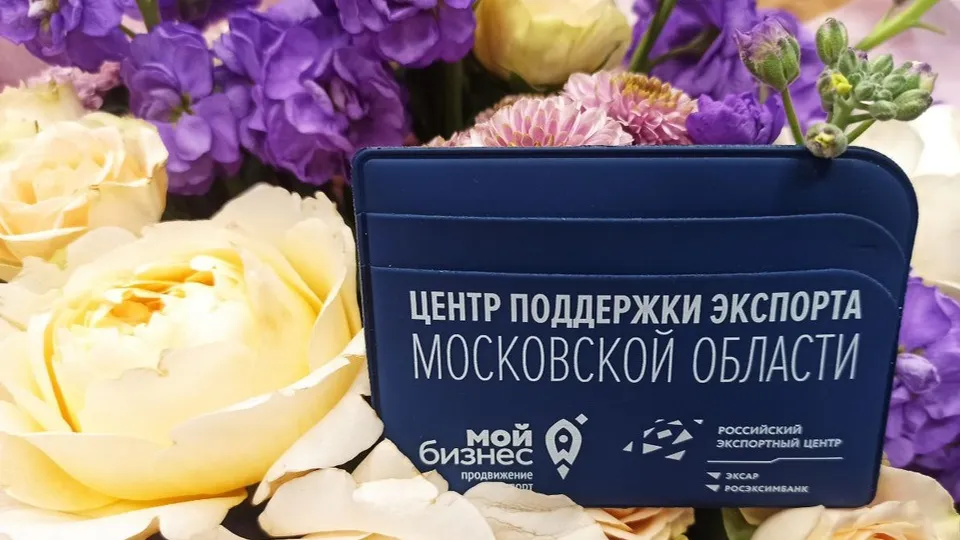 Источник: министерство инвестиций, промышленности и науки МО