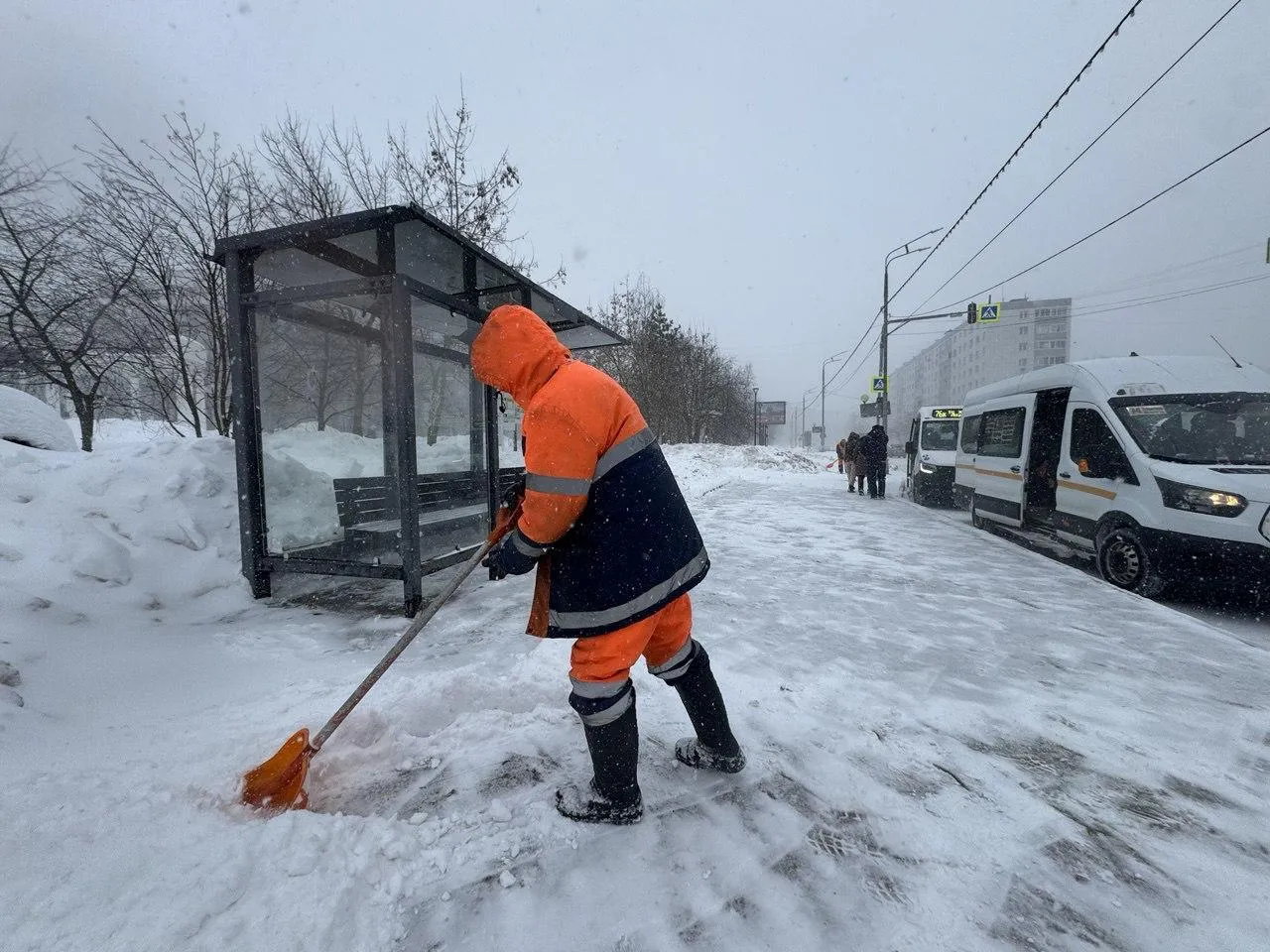 REGIONS/Татьяна Сташенко