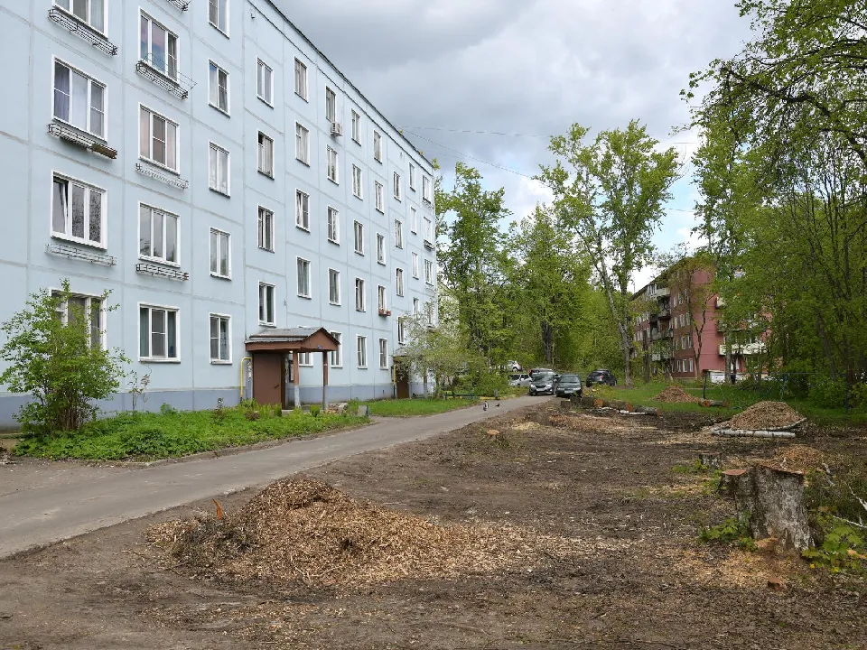 Фото: пресс-служба администрации Дмитровского г.о.