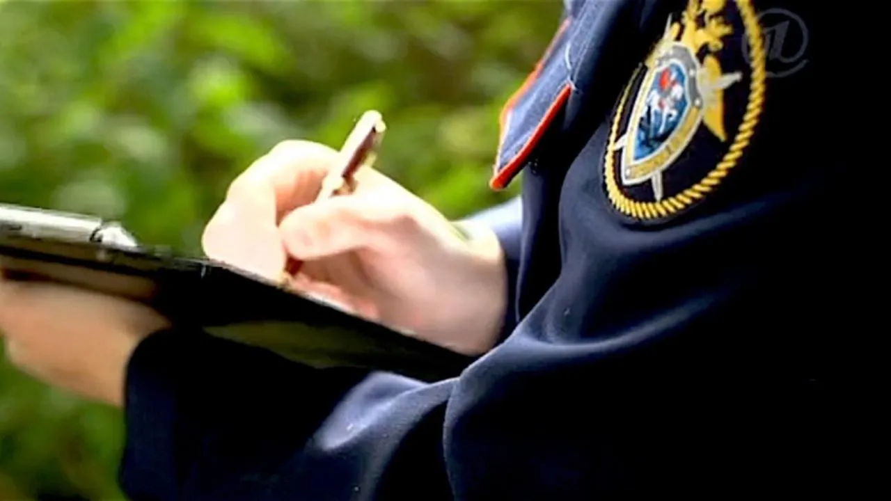 В Красногорске завели дело на двоих подростков, которые ударили девочку шокером и растлили ее
