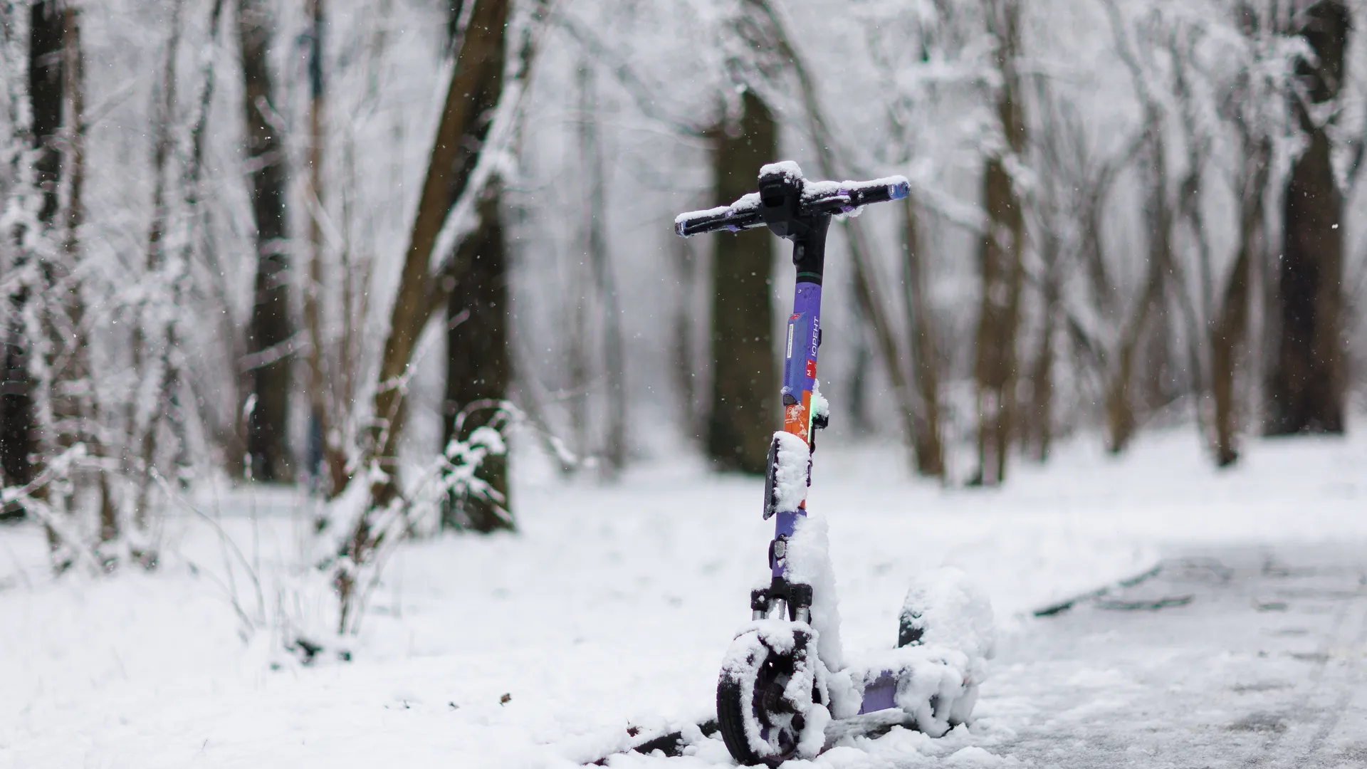 Все парализовано: водителям предложили отложить выезд на трассу Р-260 в Волгоградской области