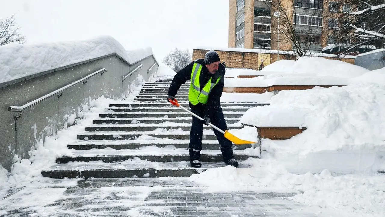 REGIONS/Мария Панина