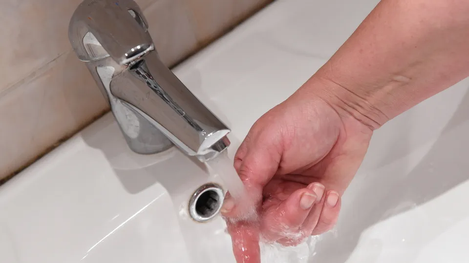 Фото: Медиаархив Подмосковья