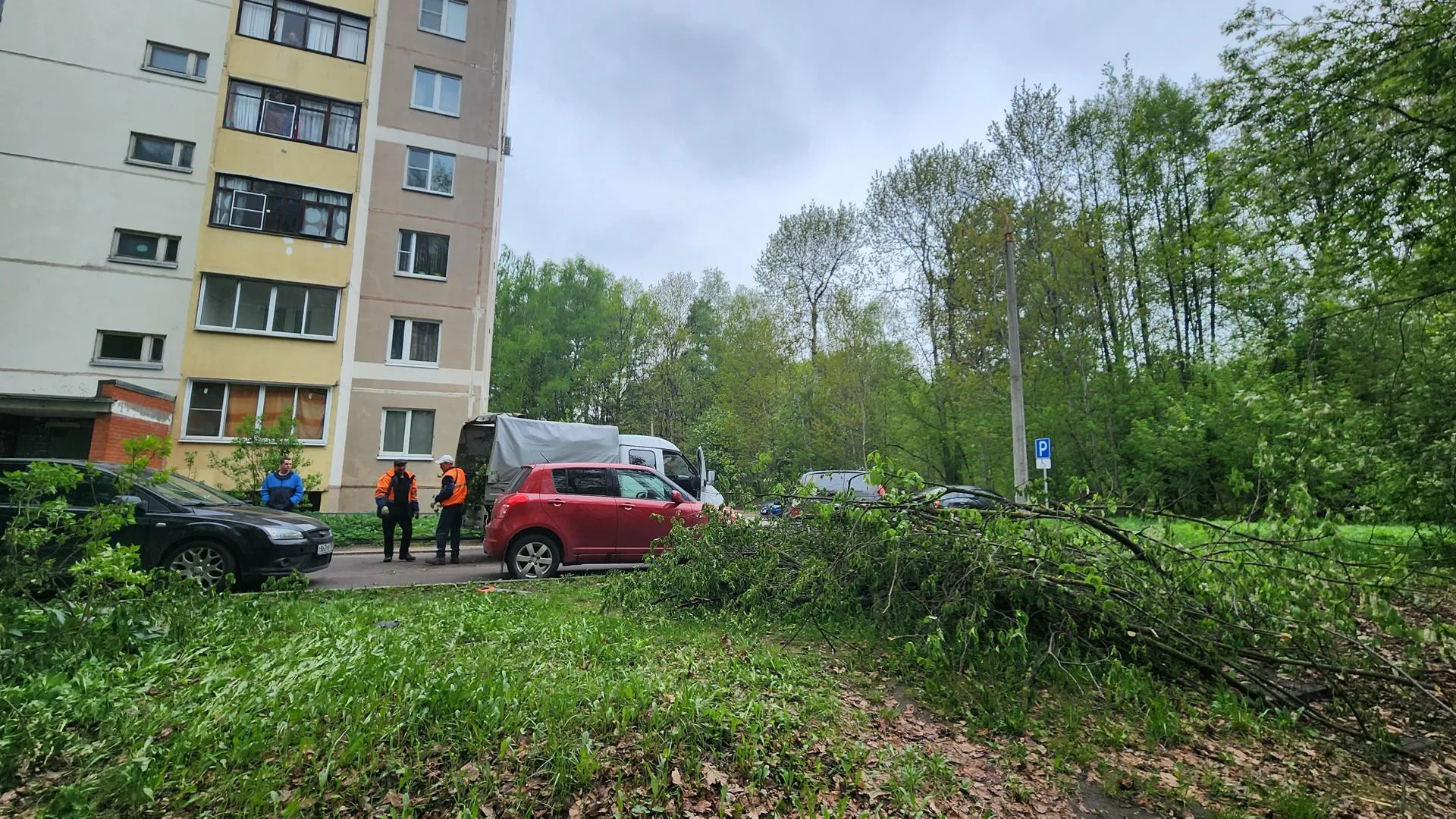 Картинка