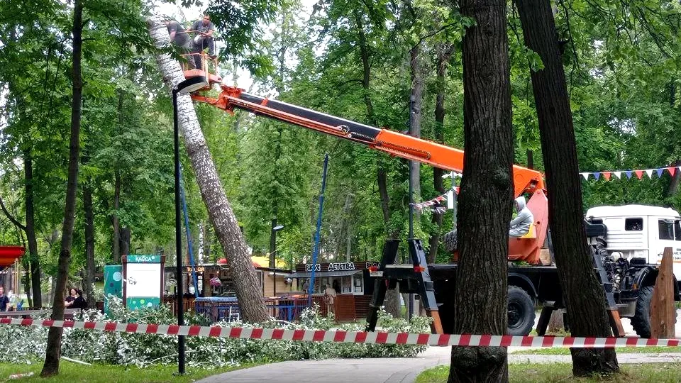 Фото: REGIONS/Татьяна Бесаева