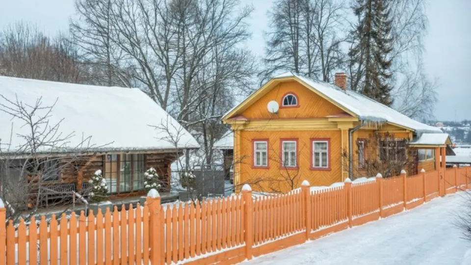 Фото: freepik.com