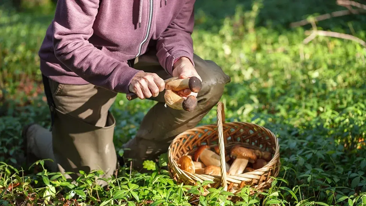 istockphoto.com/Shandor_gor