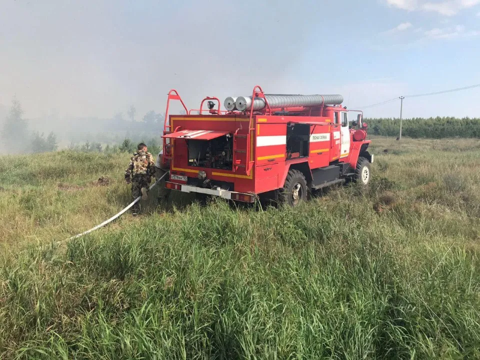 Фото: Комитет лесного хозяйства Московской области
