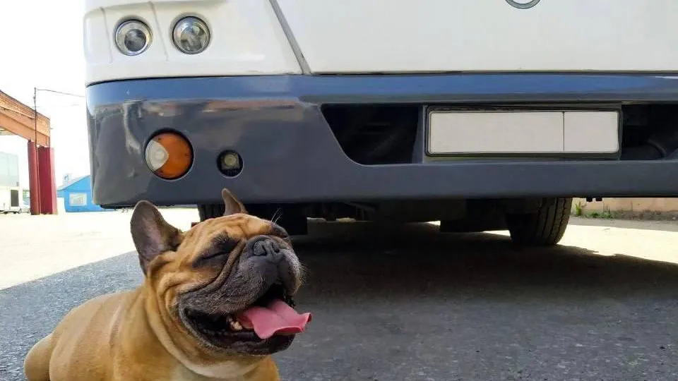 Минтранс Подмосковья