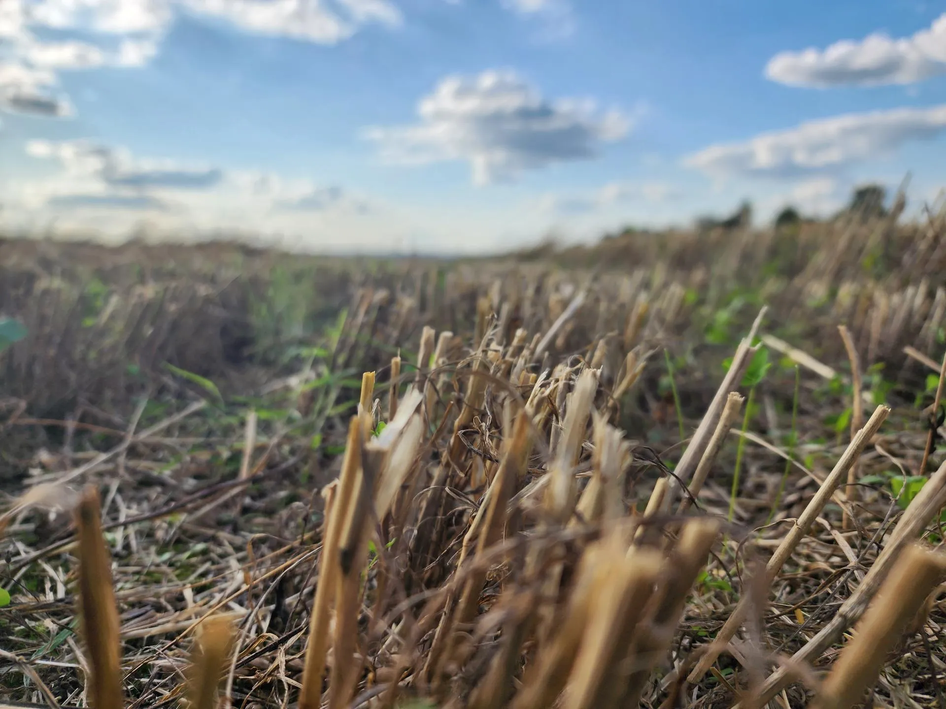 Фото: Андрей Семибратов