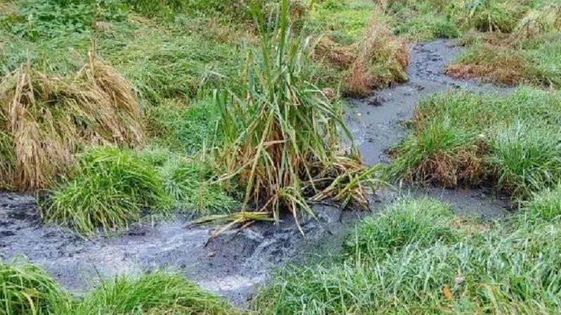 Минэкологии МО.