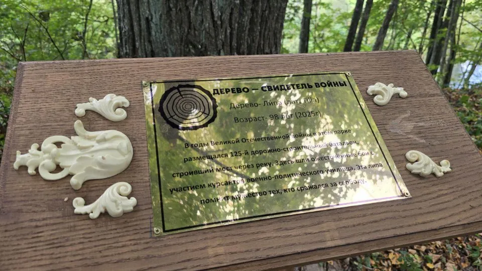 Фото: REGIONS/Яна Шаливская