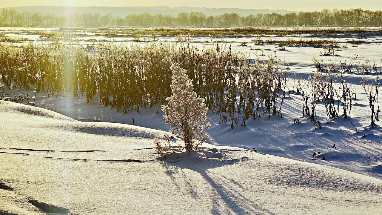 REGIONS/Алексей Селиверстов
