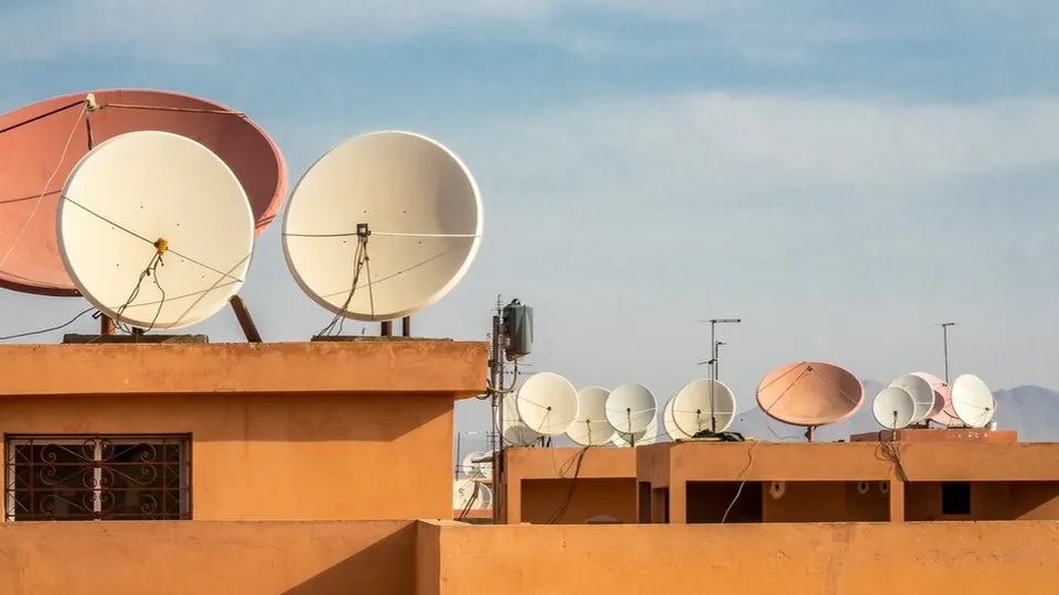 Фото: freepik.com