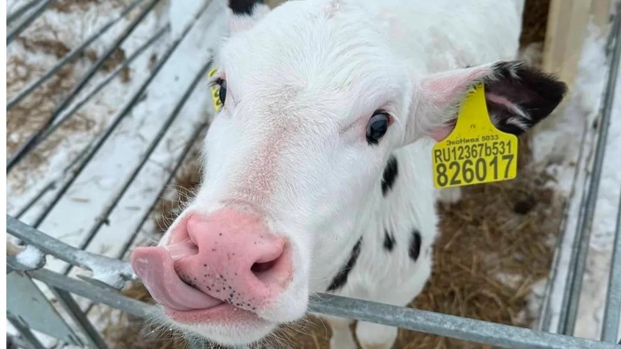 vk.com/МБОУ «Лицей № 5»