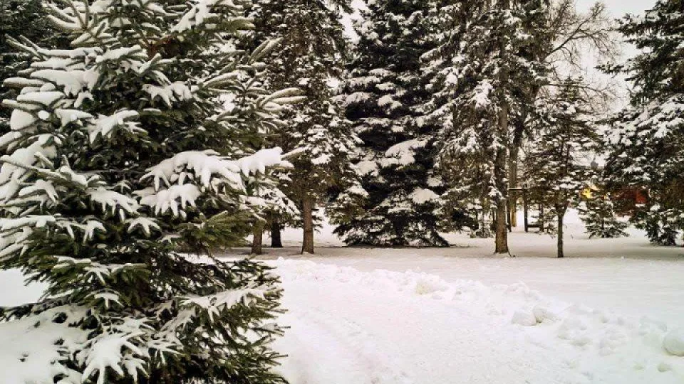 REGIONS/Роман Малышенко