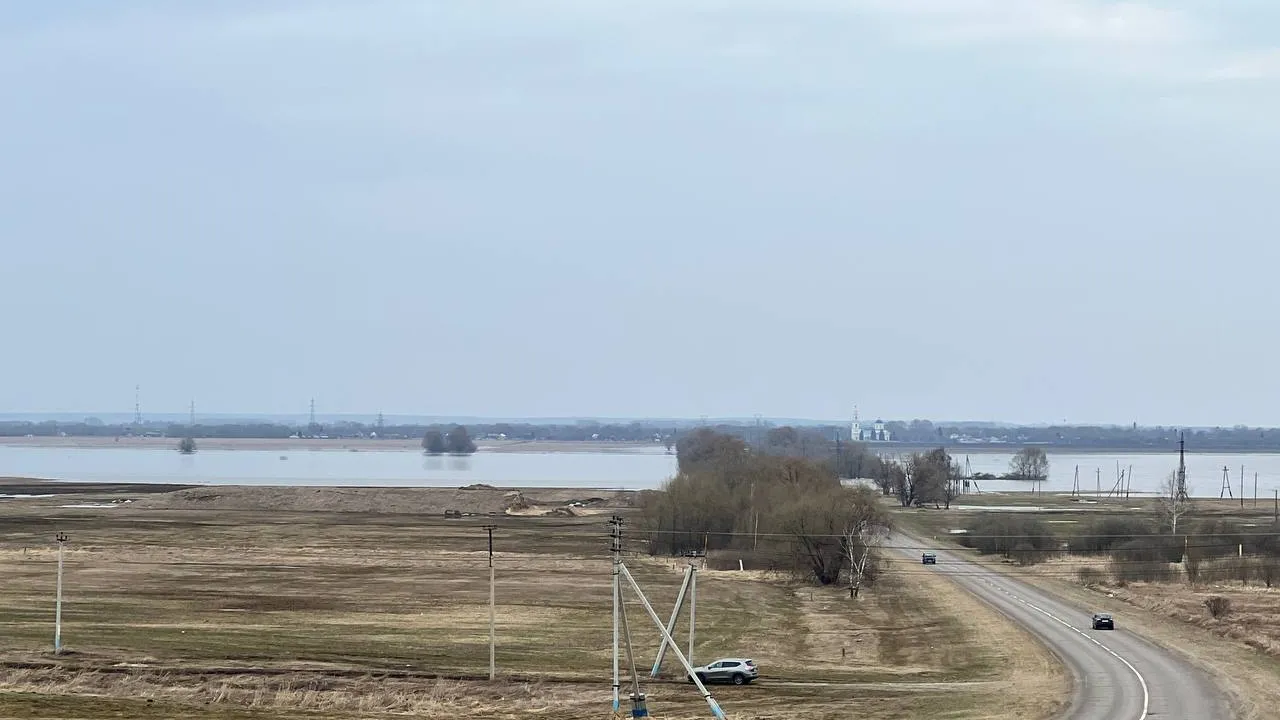 Фото: Елена Фурман