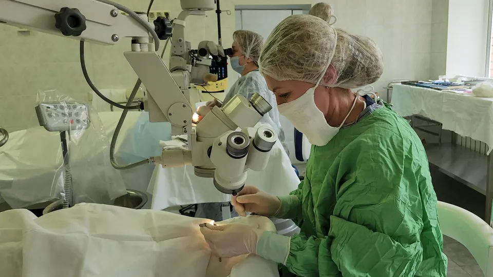 Фото: Наталья Лымарь