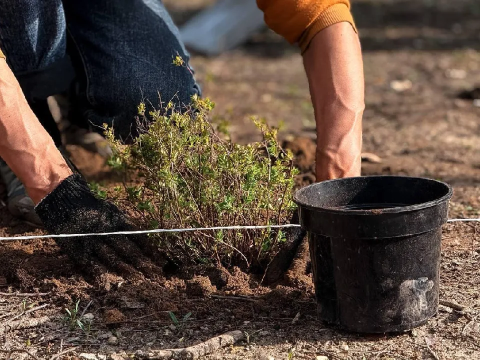 Фото: пресс-служба администрации г.о. Дубна