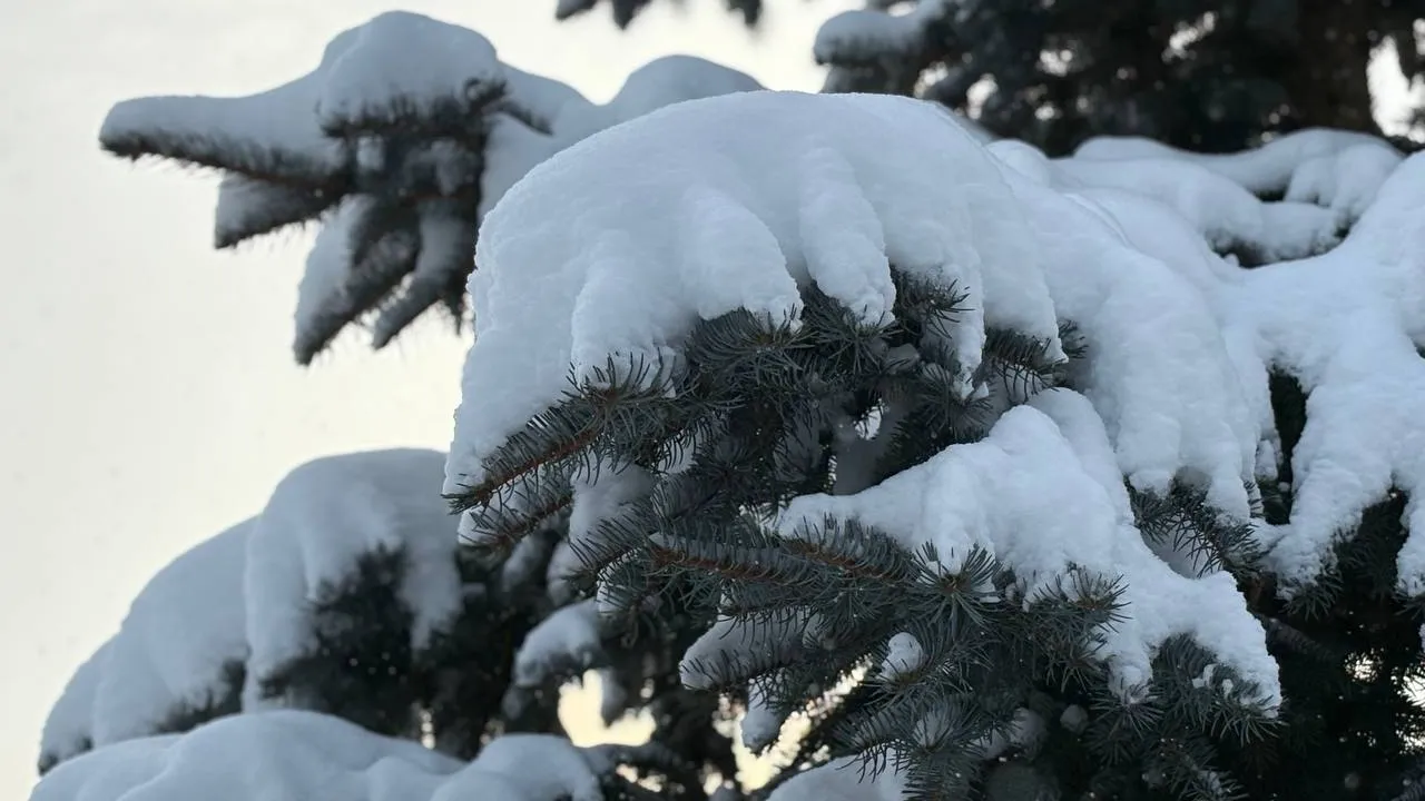 Фото: REGIONS/Полина Крачун