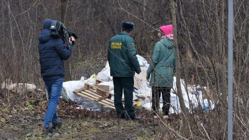 Пресс-служба Комитета лесного хозяйства Московской области
