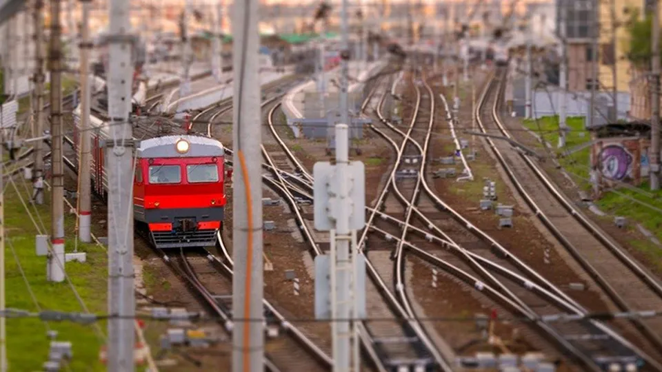 Фото: pxhere.com