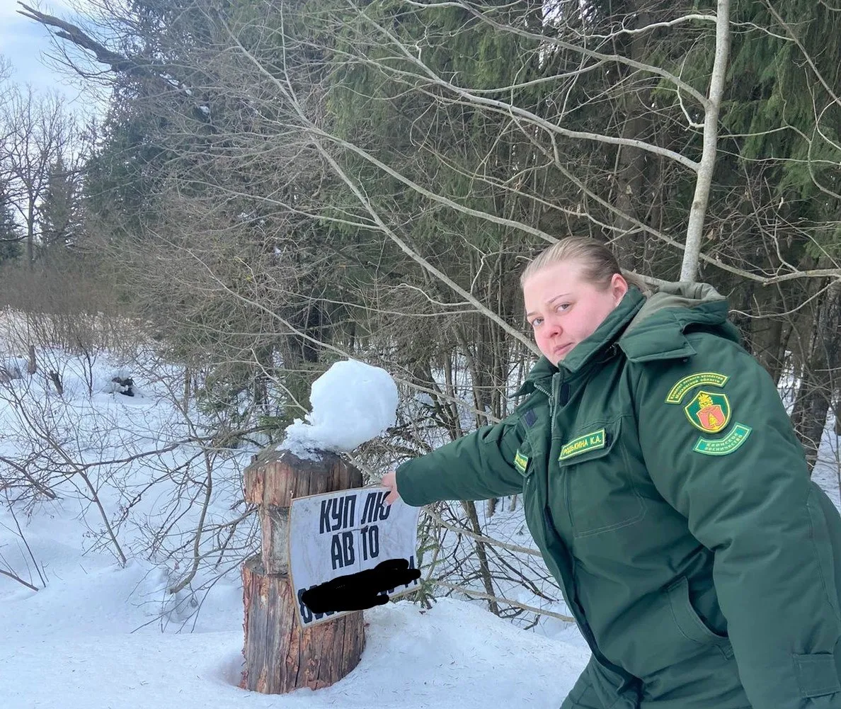 Фото: пресс-служба комитета лесного хозяйства Московской области