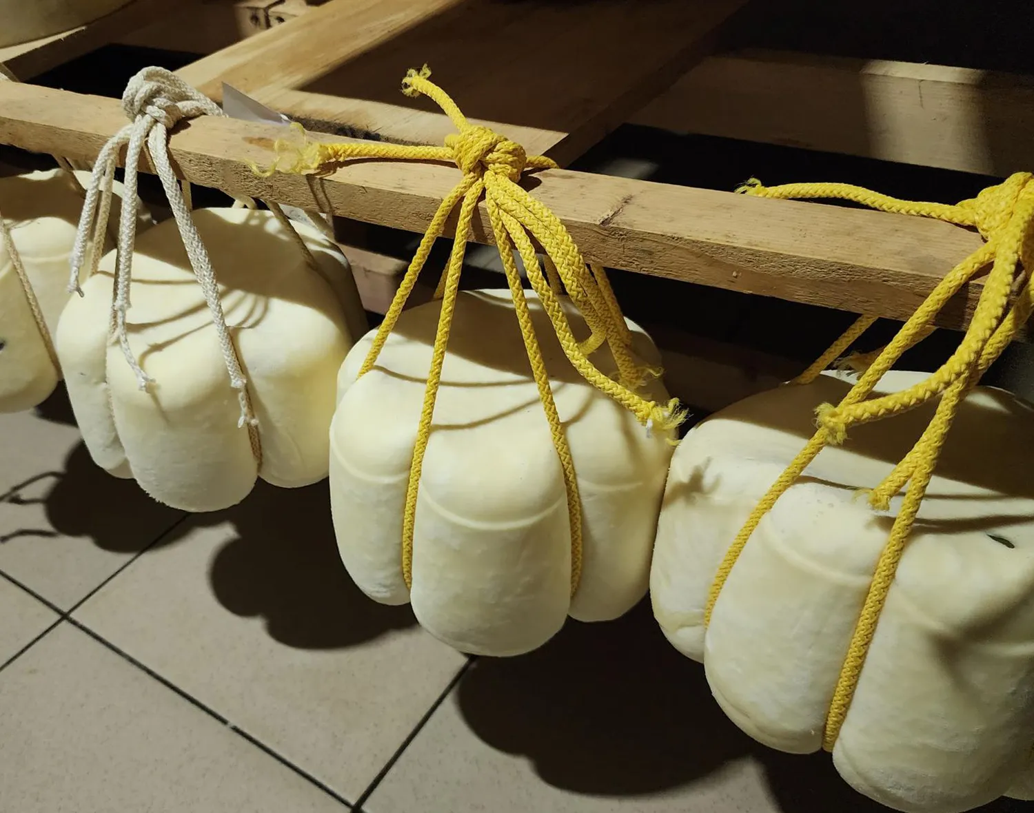 Фото: Станислав Орлов