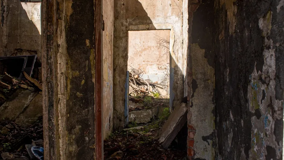 Фото: медиасток.рф