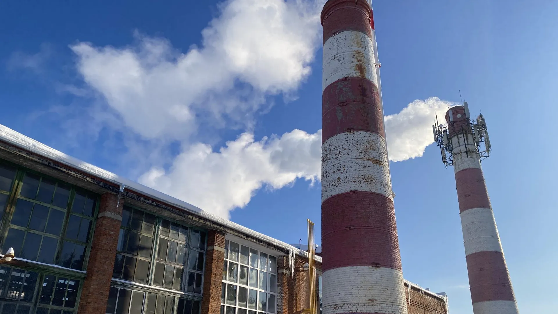 Анна Артюшина