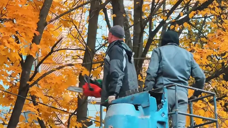 Фото: пресс-служба администрации Одинцовского г.о.