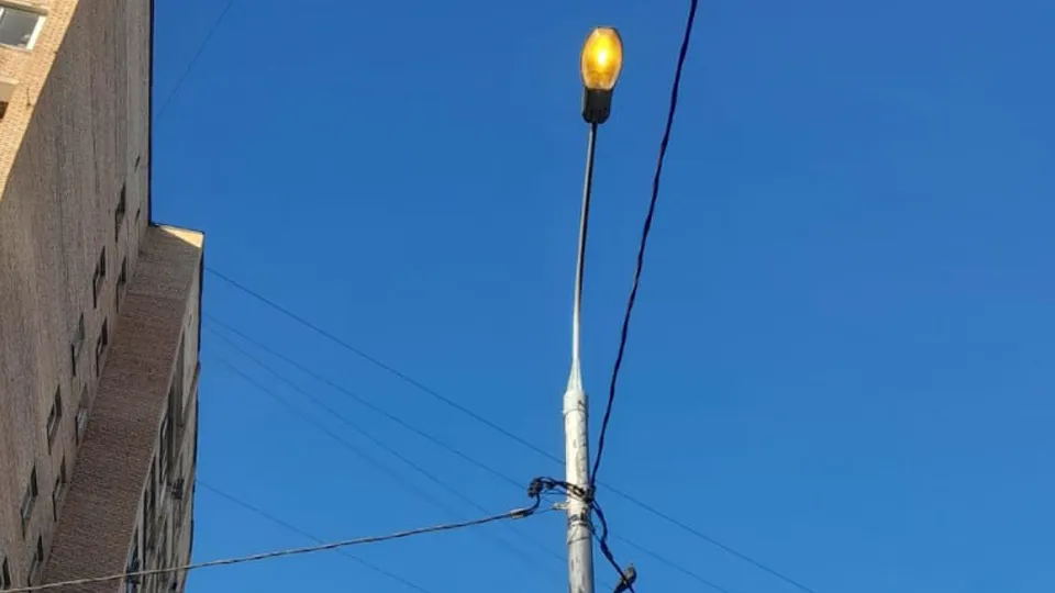 Фото: Управление благоустройства администрации г.о. Одинцово