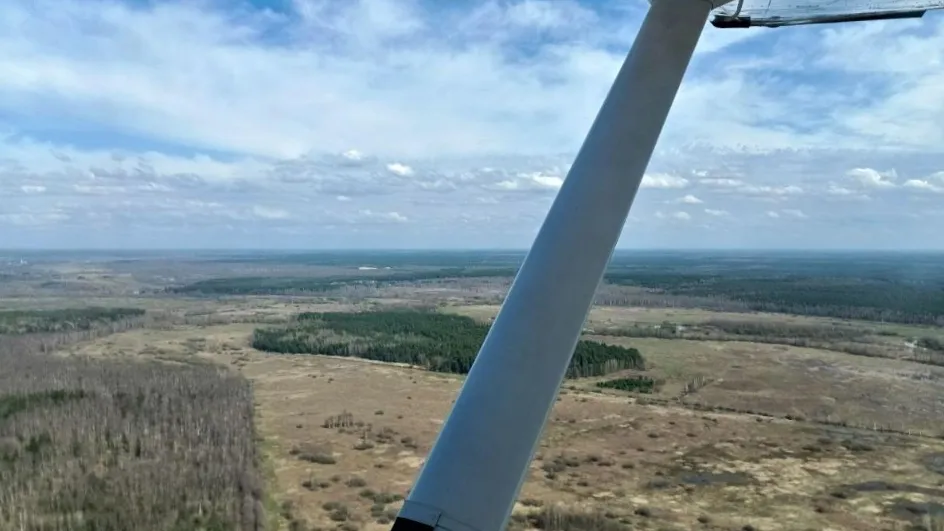 Фото: Комитет лесного хозяйства МО