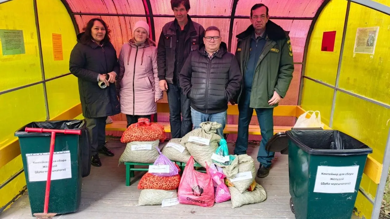 Фото: Комитет лесного хозяйства МО