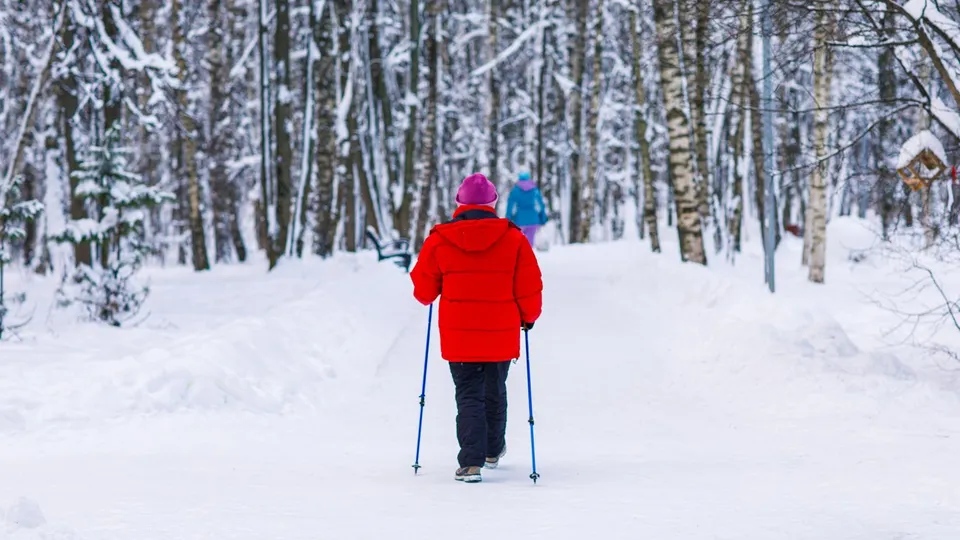 Фото: медиасток.рф