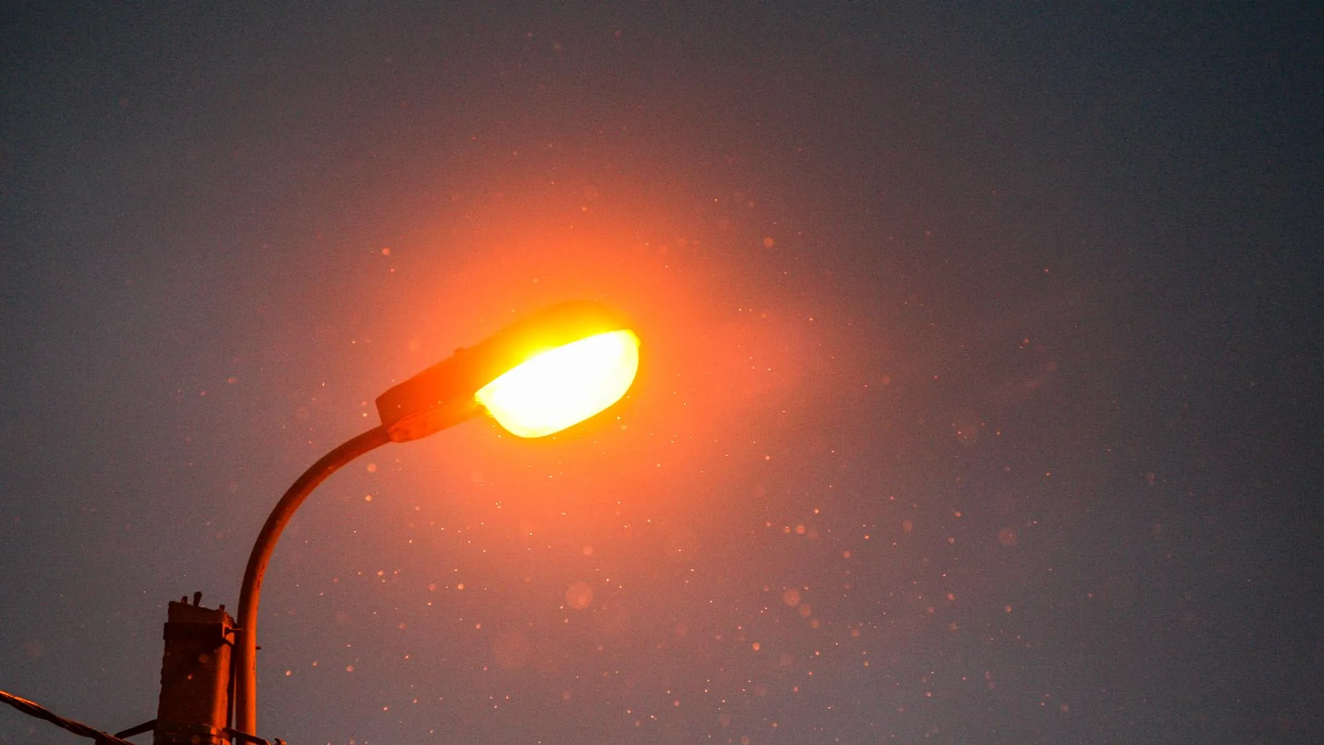 Виталий Ватулин