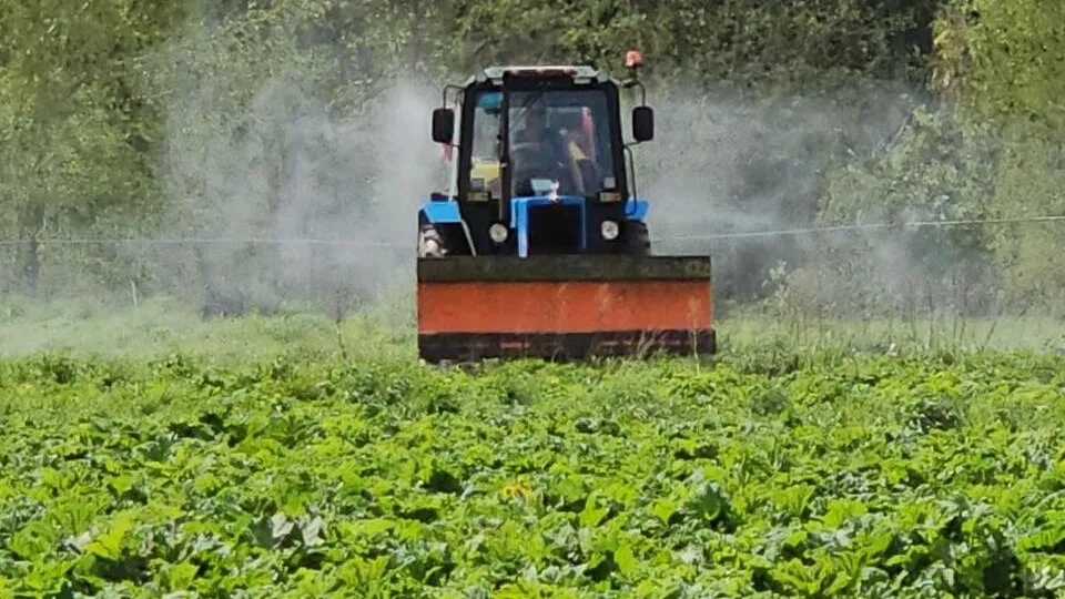 Фото: пресс-служба администрации г.о. Клин