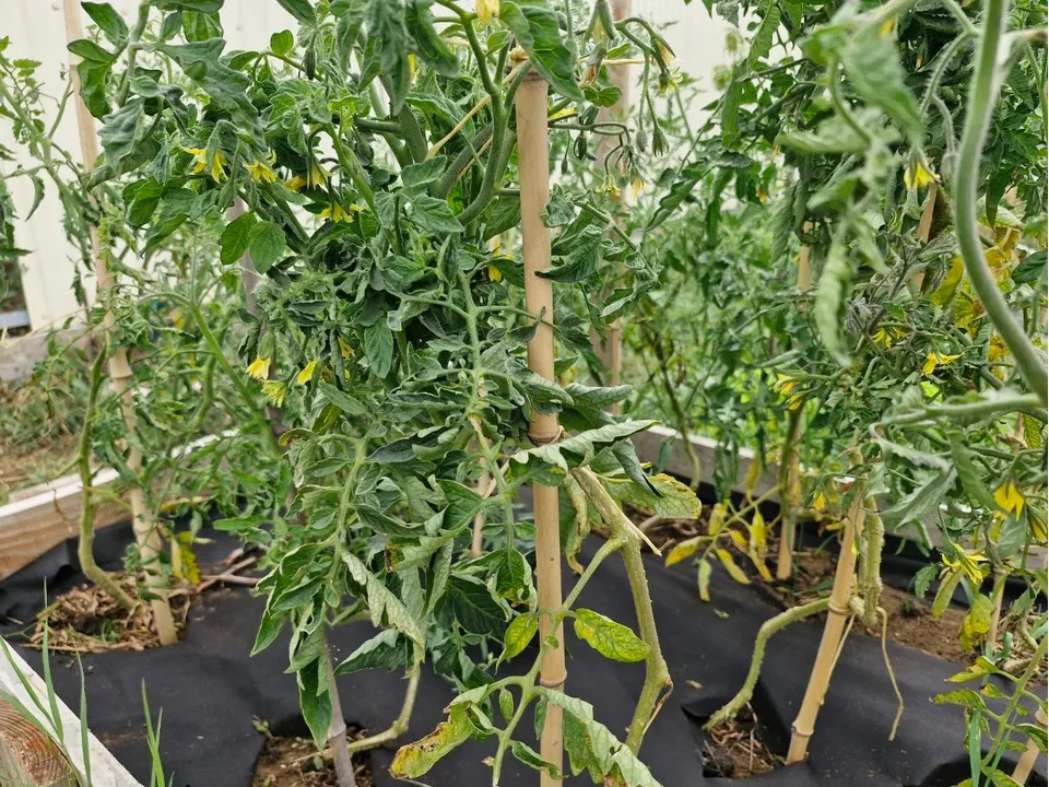 Фото: REGIONS/Наталия Надточая