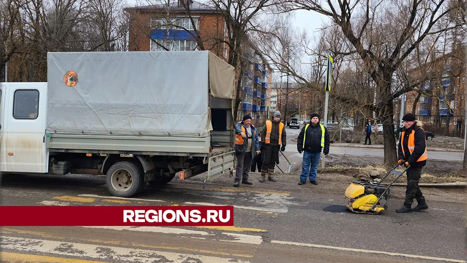 Фото: Дмитрий Беденко