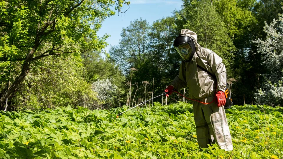 Фото: МедиаБанк Подмосковья/Евгений Корнилов