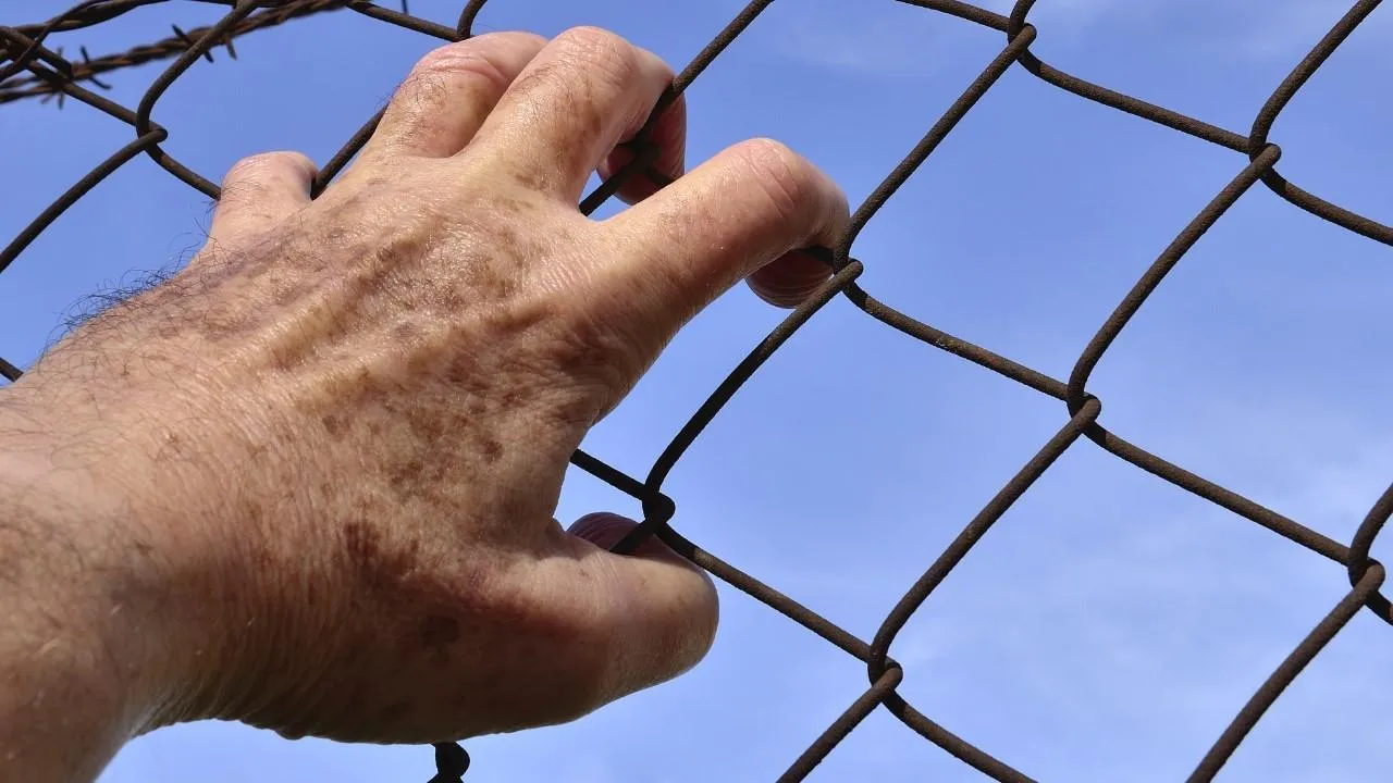 Украинский пленный раскрыл план ВСУ по атаке на своих же солдат из РСЗО