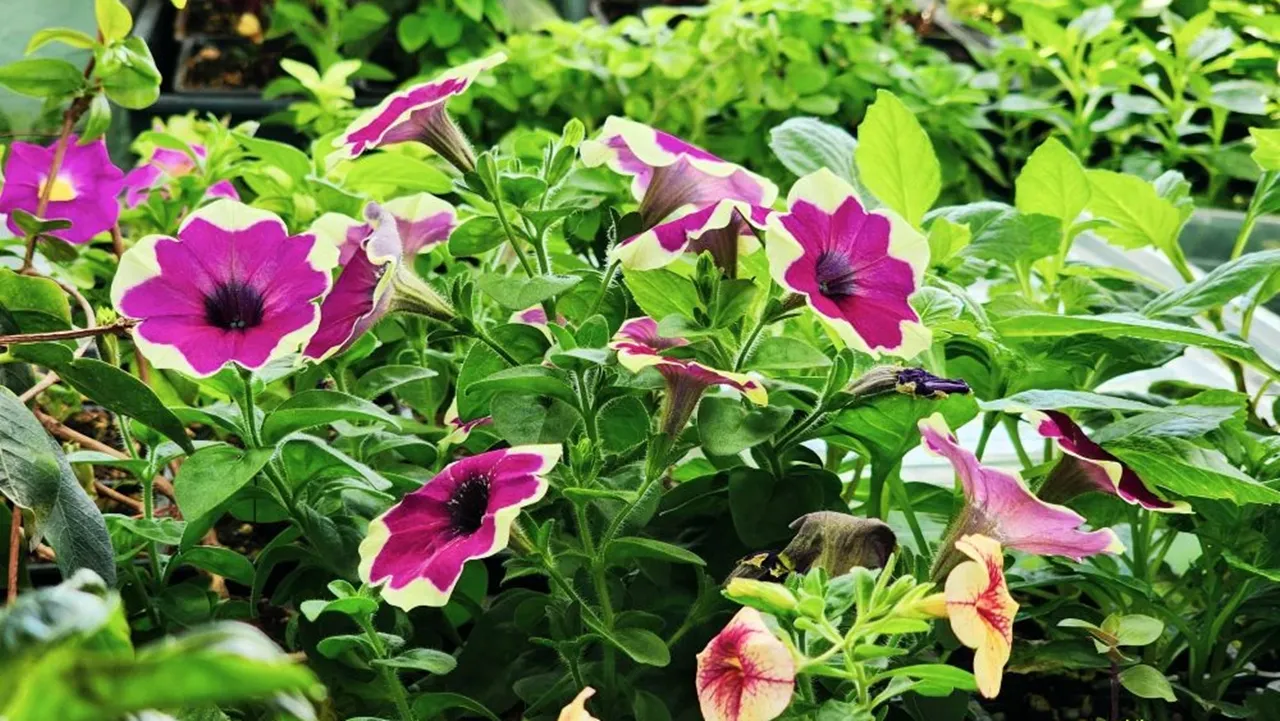 REGIONS/Мария Панина